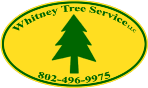 Whitney Tree Service LLC